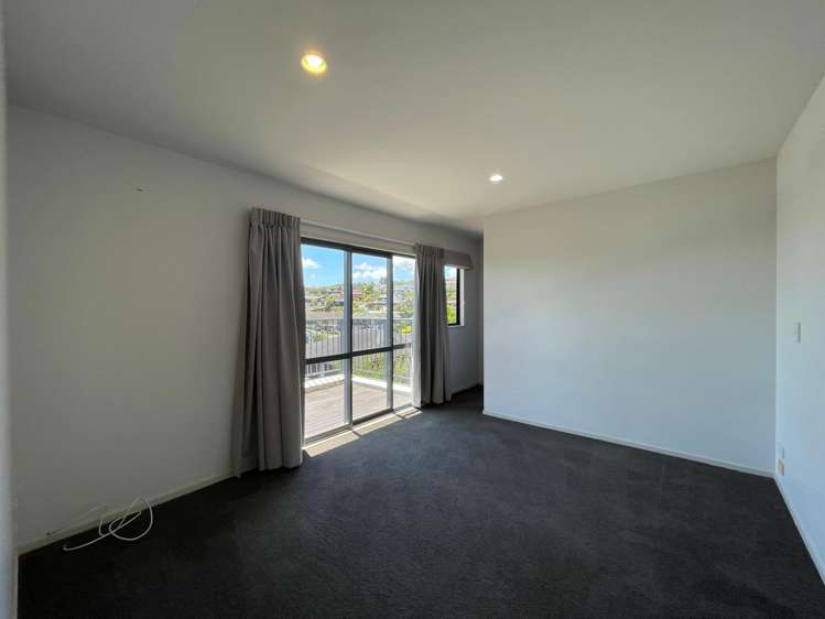 509A Hillsborough Road Mount Roskill_5