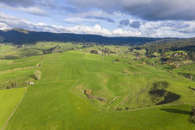 Piakonui Road Richmond Downs_16