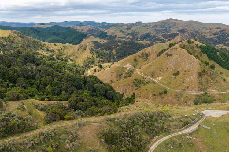 310 Branscombe Road Akitio_9