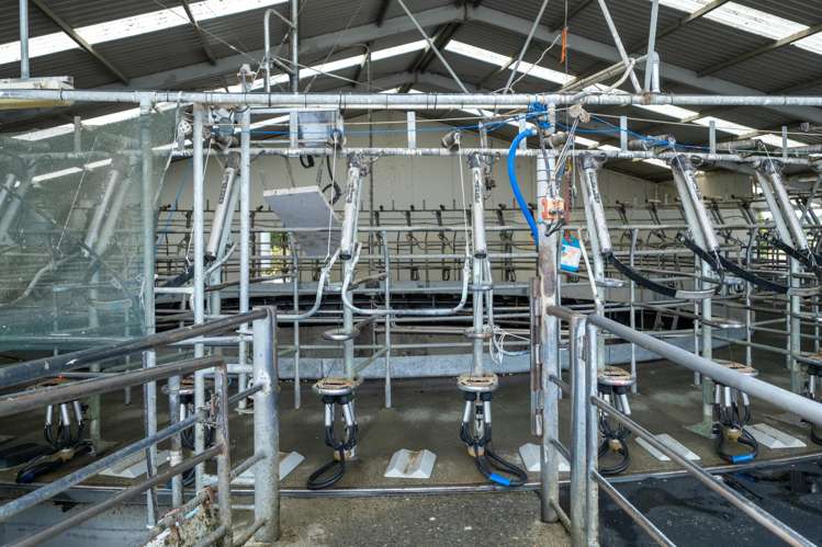 1847 Grahams Road Eiffelton_5