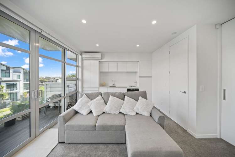 383 Murphys Road Flat Bush_2