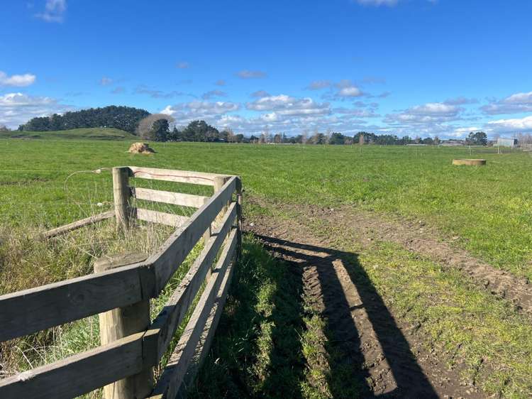 78 Brandon Hall Road Bulls_20