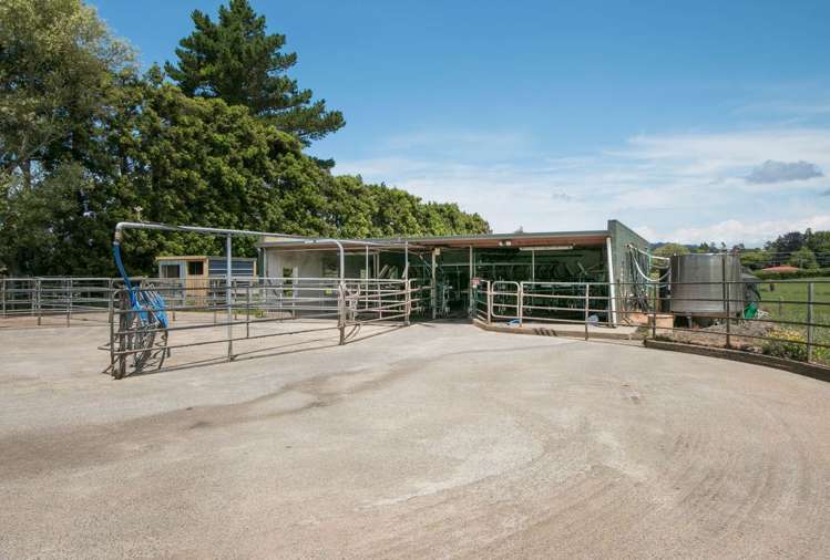 305 Waihi Beach Road Waihi_14