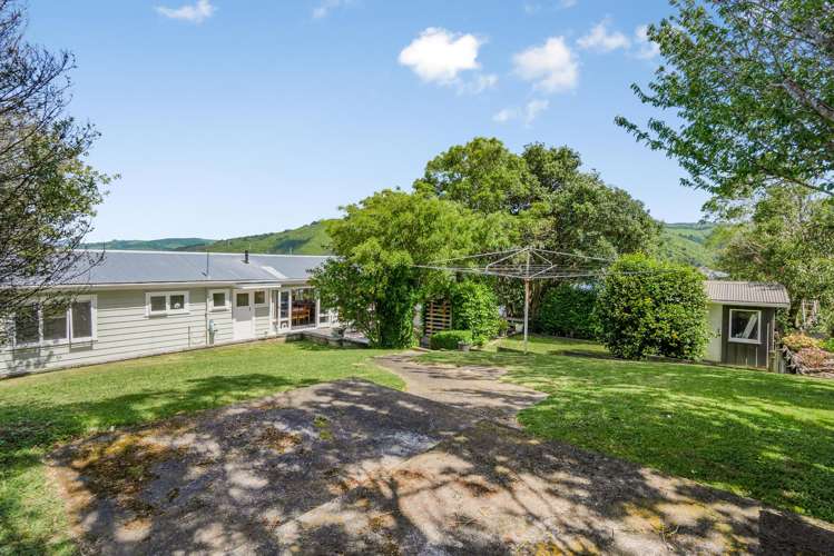 19 Vista Crescent Brown Owl_26