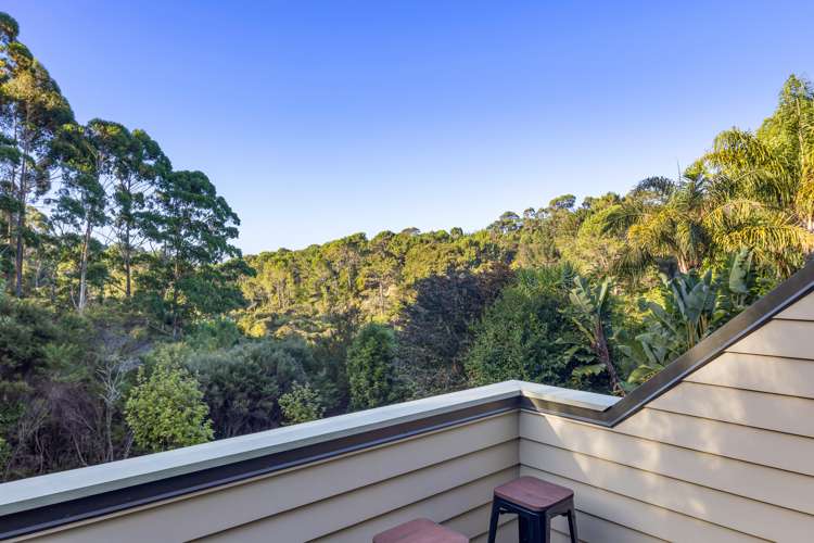 190 Lonely Track Road Dairy Flat_5