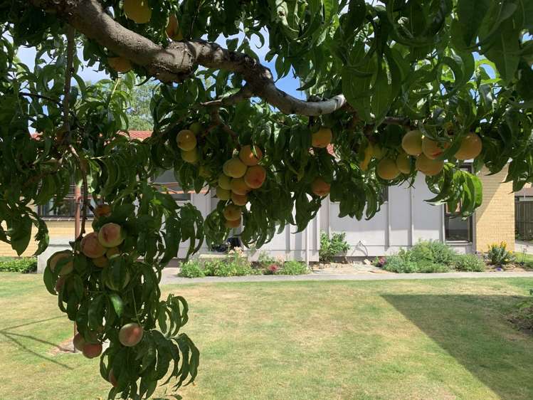 69 Waenga Drive Cromwell_16