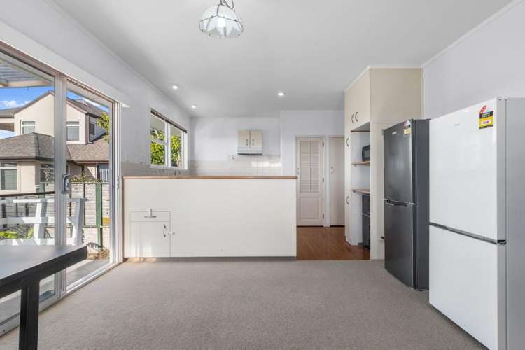 46 Oxford Street Te Puke_6