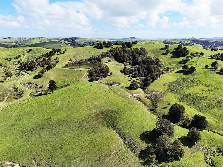 435 Parahi Road Ruawai_17