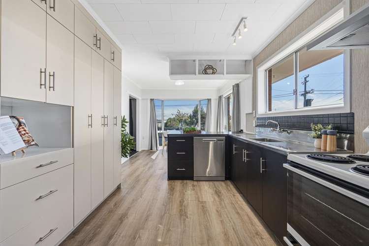 12 Saxton Road Upper Vogeltown_3