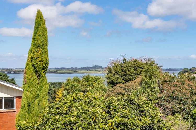 11 Rendcomb Place Hillsborough_14