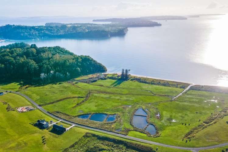 Lot 109 Weiti Bay Okura Bush_1