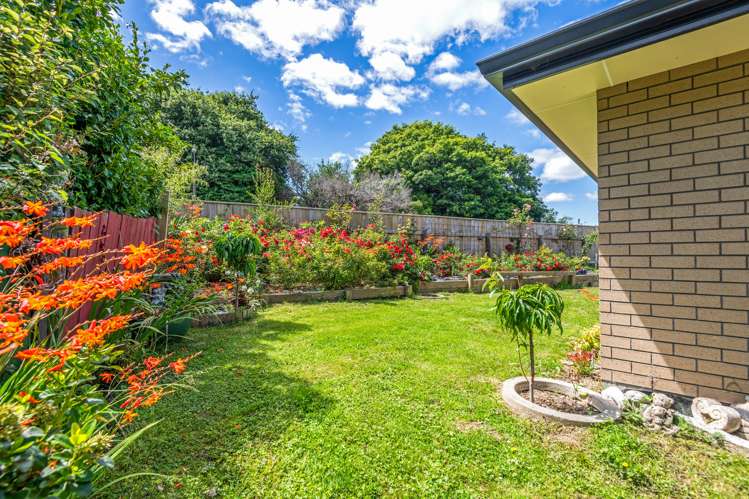 47 Tay Street Woodville_10