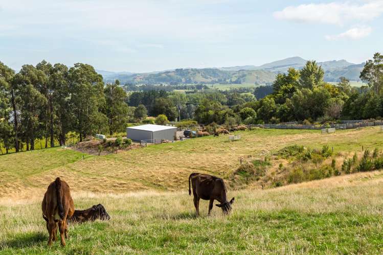 67A Lees Pakaraka Road Masterton_14