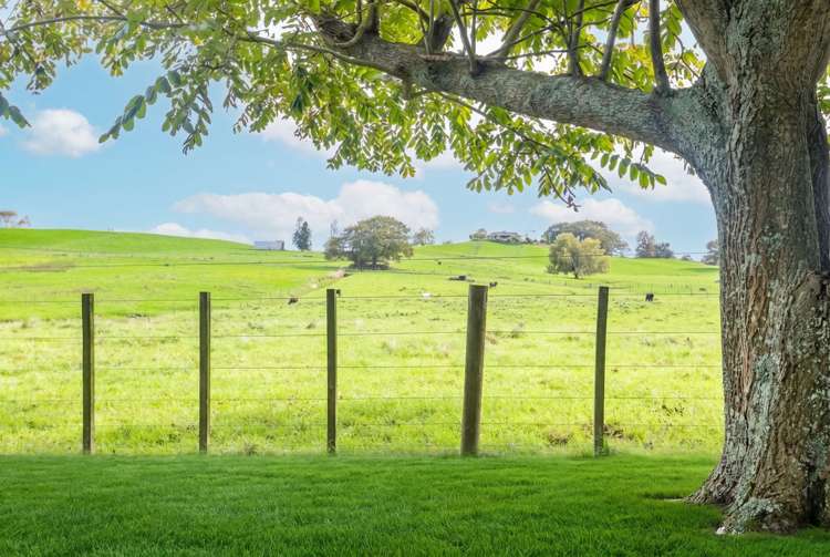 16 Goodwin Avenue Morrinsville_22