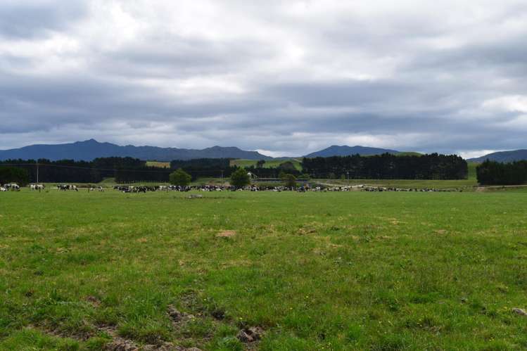 434 Pukehoi Road Eketahuna_11