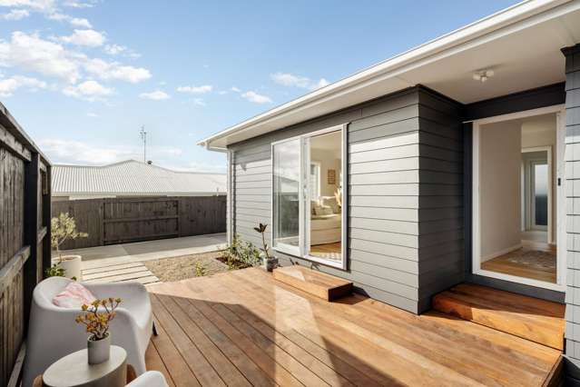 478a Fraser Street Parkvale_4