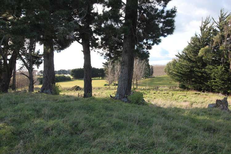 539 Kellow Road Glen Oroua_4