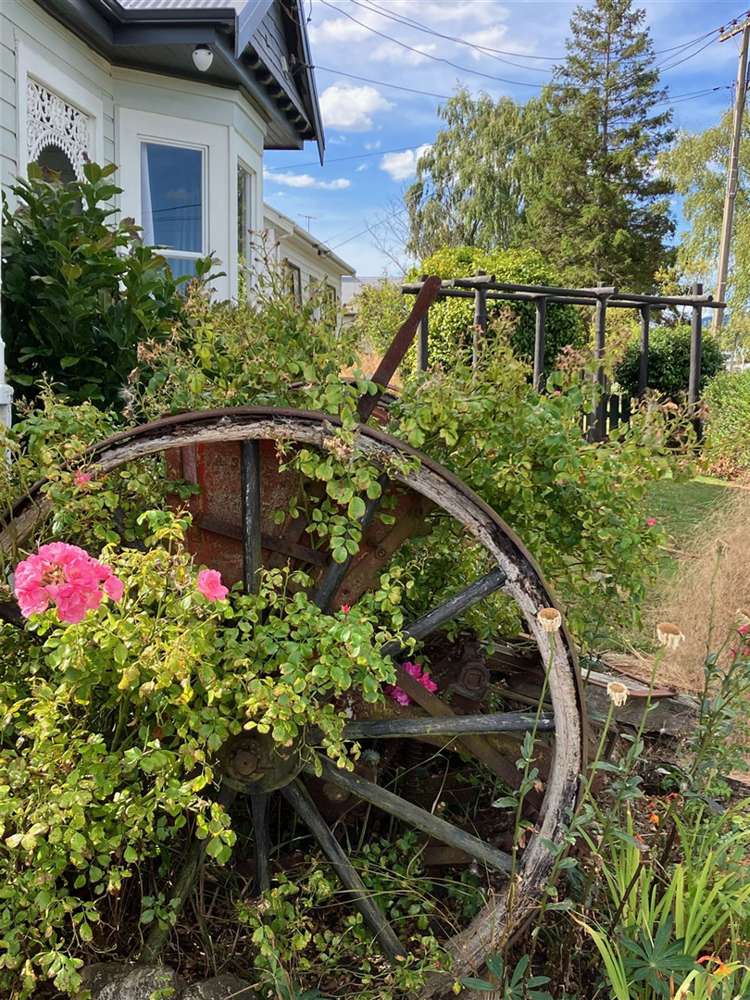 62 Chaucer Street Milton_14