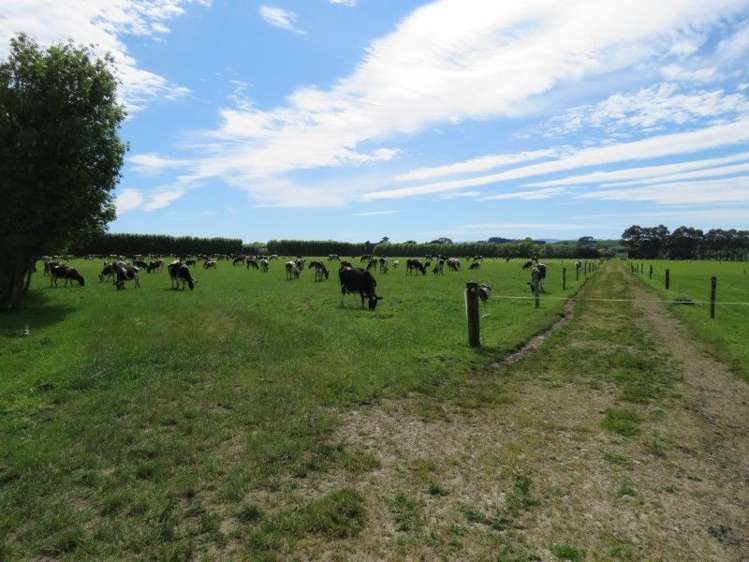 80 Avery Road Pahiatua_4