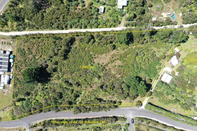 15 Onekaka Iron Works Road Kahurangi National Park_14