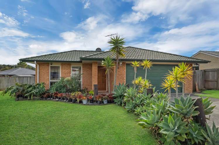 46 Medvale Avenue Flat Bush_28