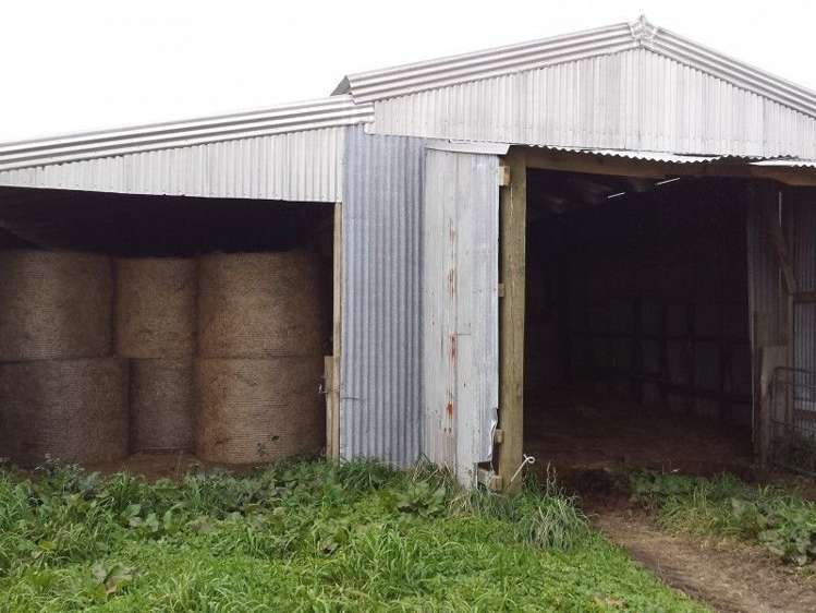 1102 Mangorei Road Mangorei_5