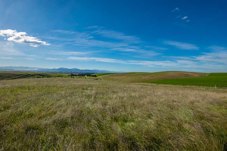 160 Esler Road Pleasant Point_17