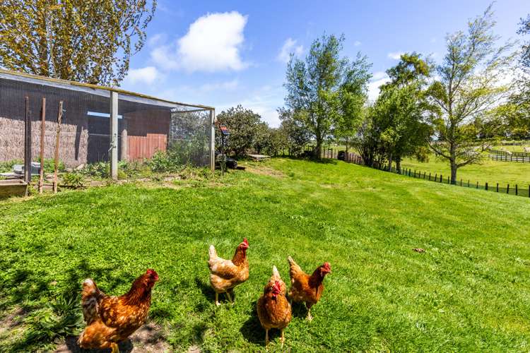 189 Lakewood Drive Nukuhau_22