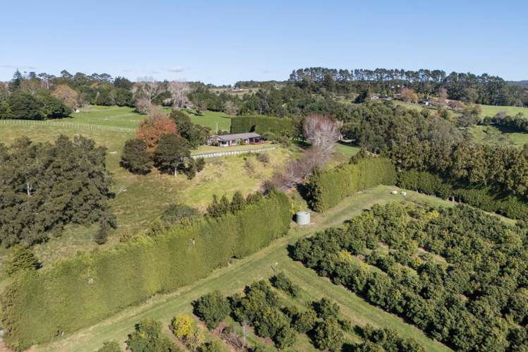 480C Youngson Road Whakamarama_29