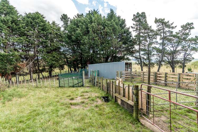 134 Otamauri Road Otamauri_14