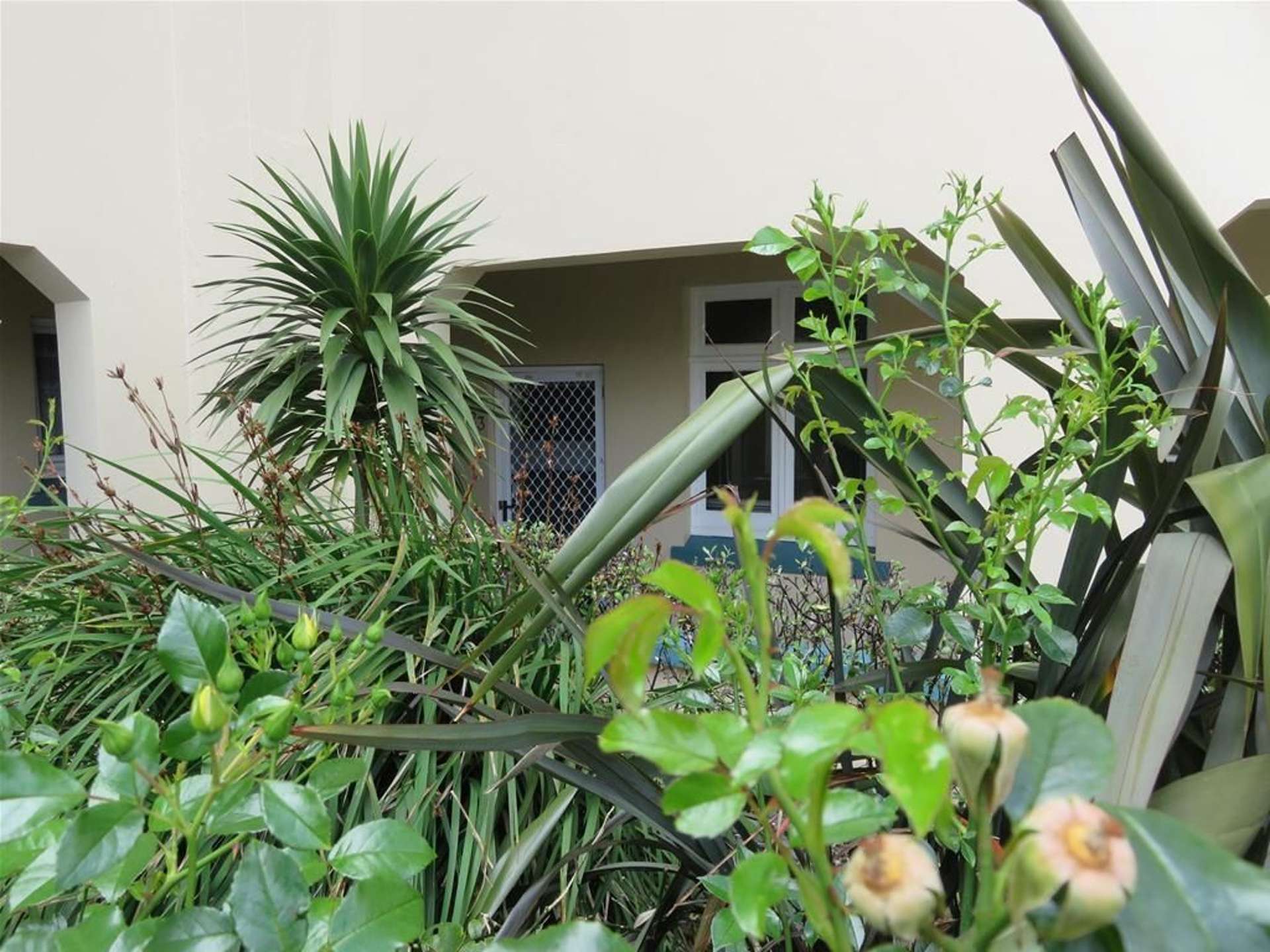 23/127 Saint Aubyn Street New Plymouth Central_0