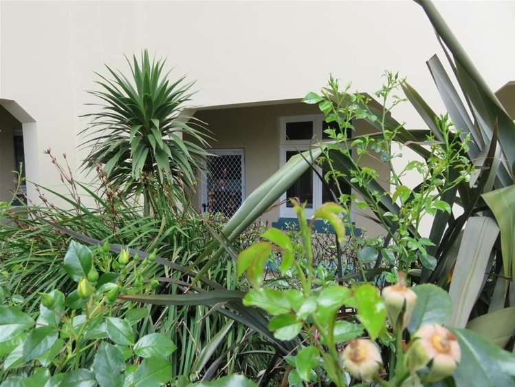 23/127 Saint Aubyn Street New Plymouth Central_0