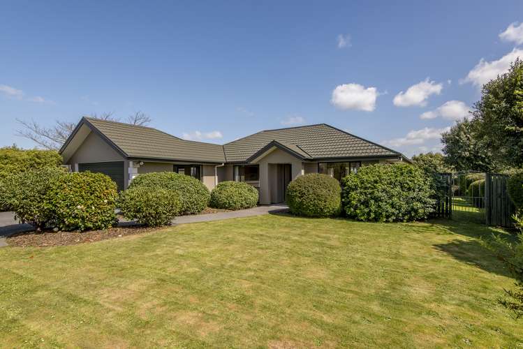 15 Harrys Way Redwood_3