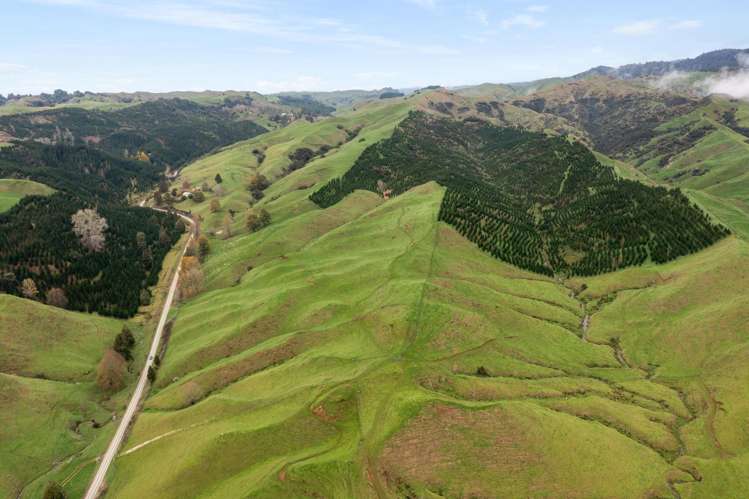 124 Haku Road Piopio_9