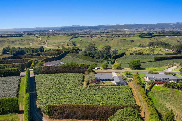 494 Paerata Ridge Road Opotiki and Surrounds_31