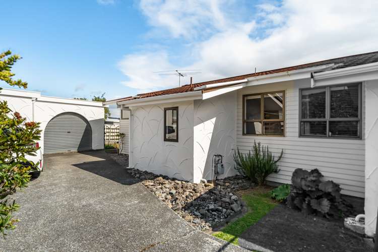 5b Norbert Street Brown Owl_20