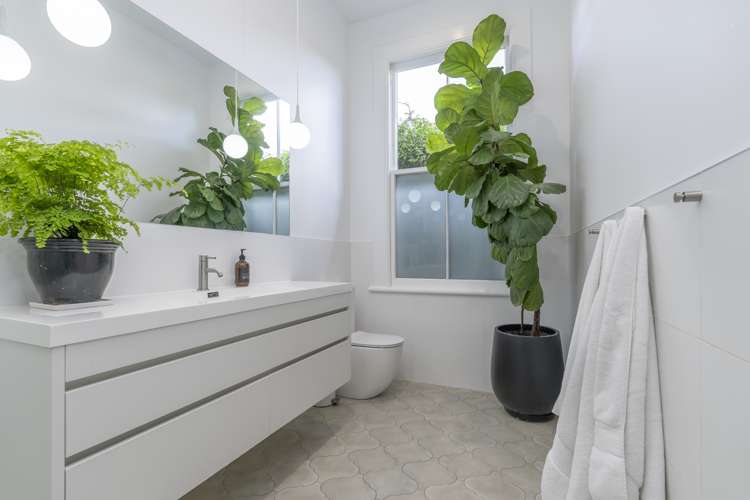 17 Brixton Road Mount Eden_20