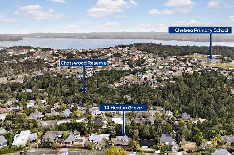 14 Heaton Grove Chatswood_36