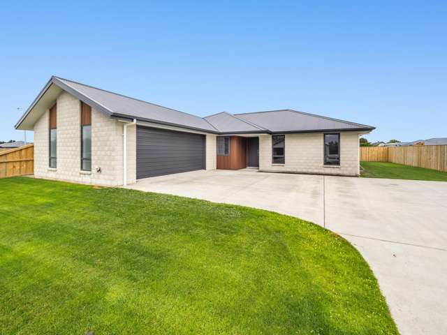 48 Ashbury Drive Tinwald_1