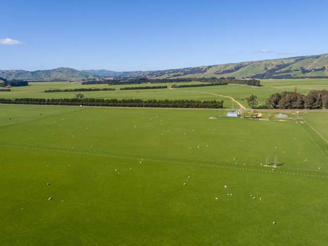 White Rock Road Martinborough_1