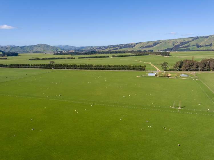 White Rock Road Martinborough_1