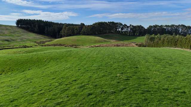 Glendhu Road Mataura_3