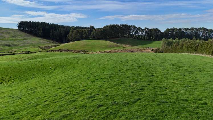 Glendhu Road Mataura_3