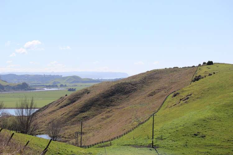 Lot 11 Te Kapua Rise Puketapu_12