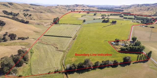 1231 Longbush Road Carterton_4