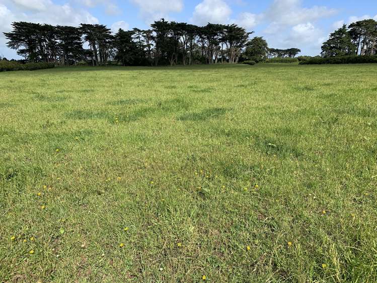 2372 Opunake Road Awatuna_11