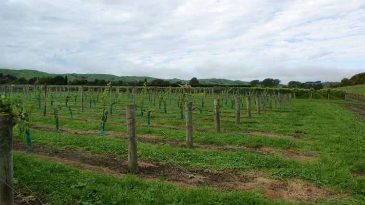 483 Dartmoor Road Puketapu_7