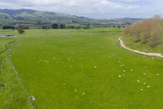 643c Pohangina Road Pohangina Valley_2