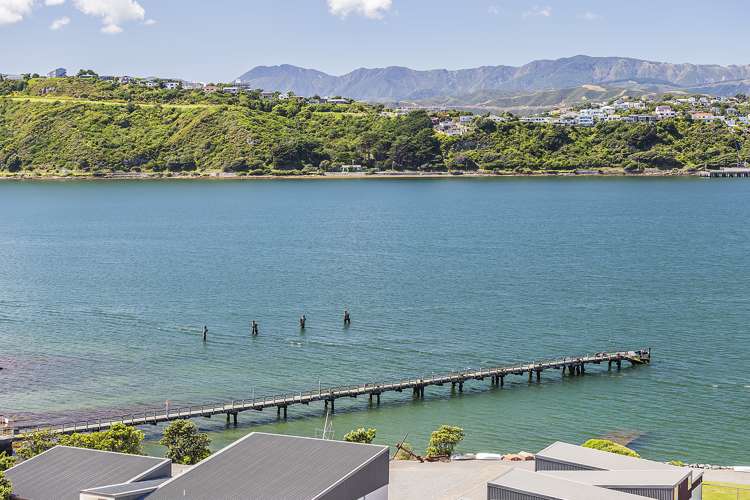 31 Rata Road Hataitai_20