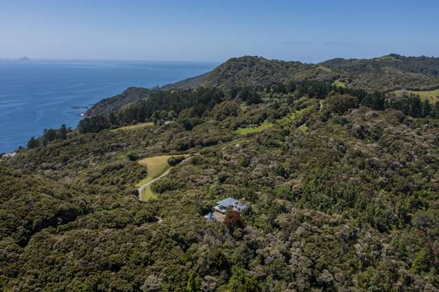 595 Boat Harbour Road, Whenuakite Tairua_3